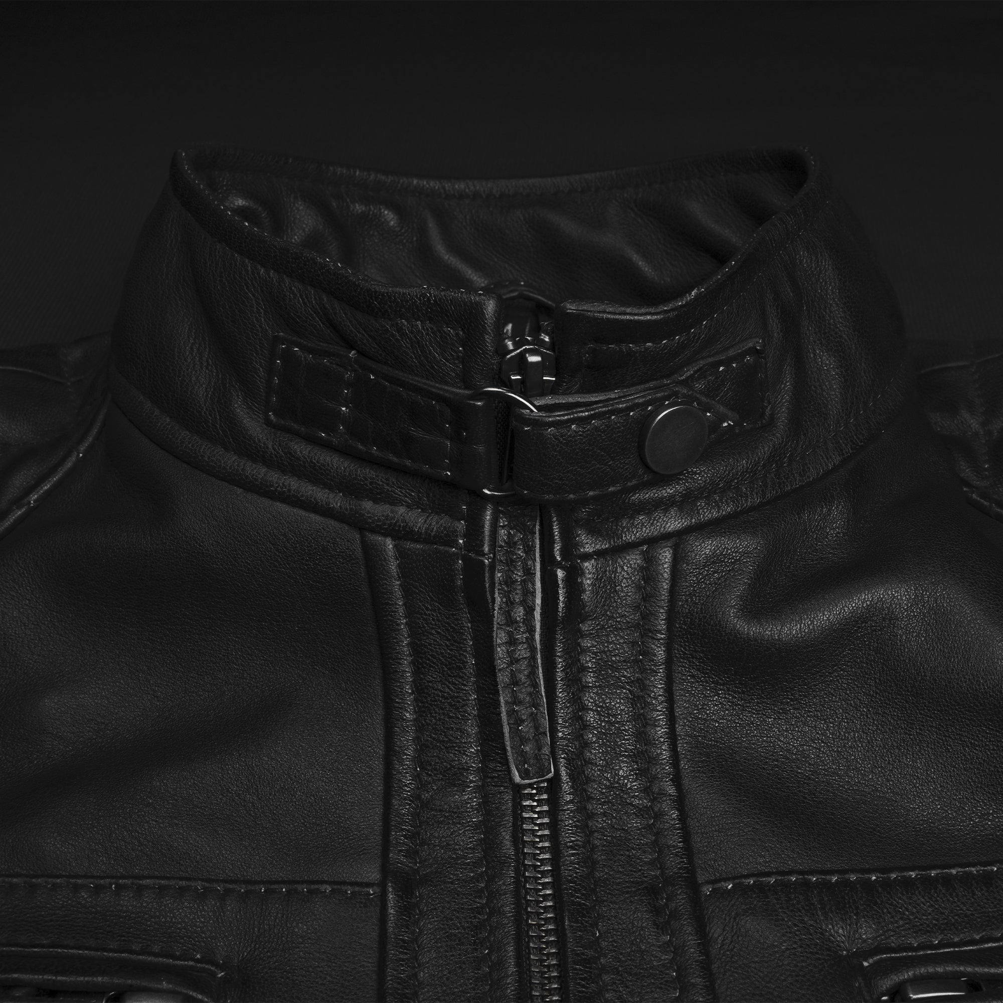 Urban Rider - Apexwolf