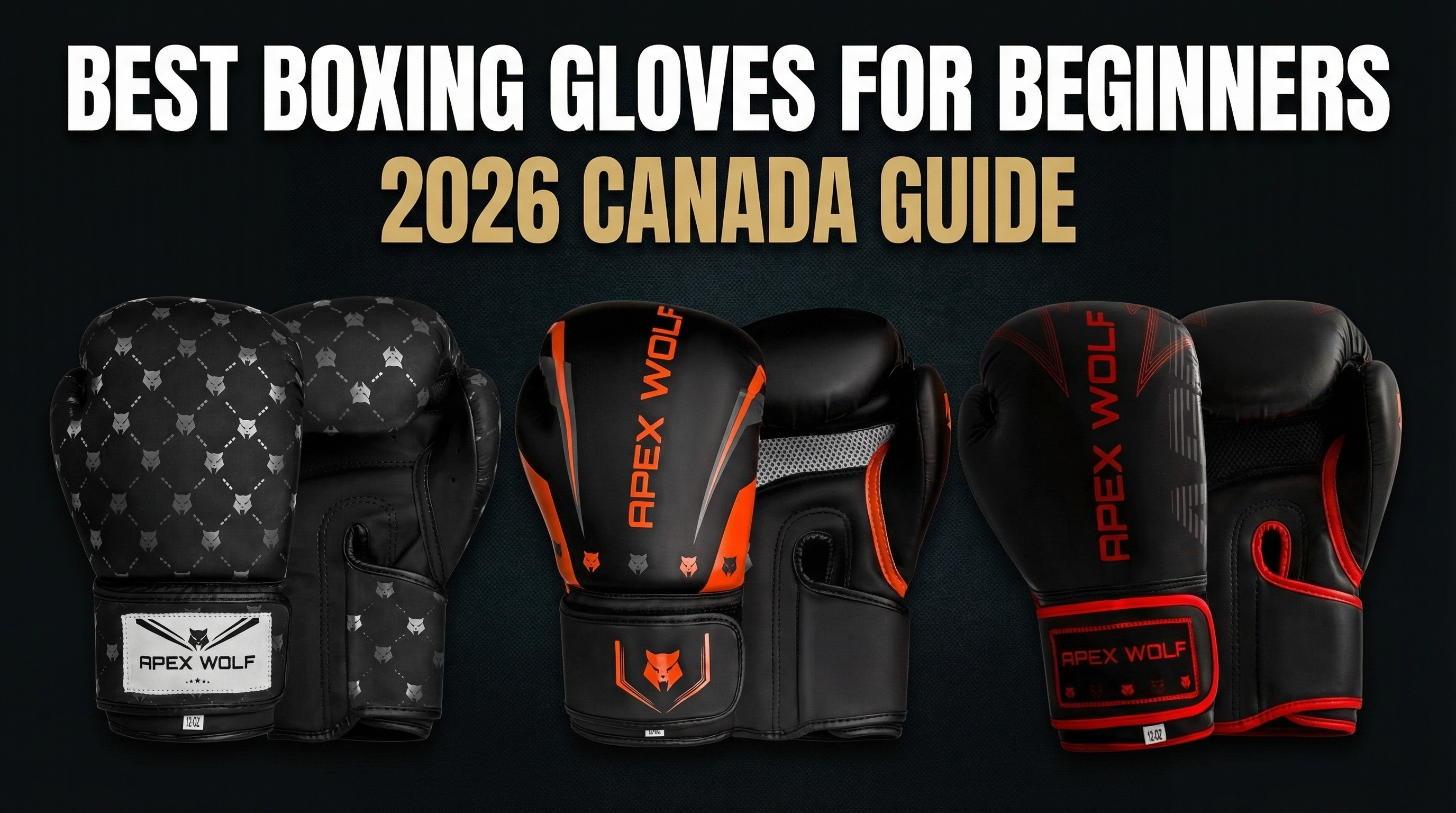 Best Boxing Gloves for Beginners [2026 Canada Guide]