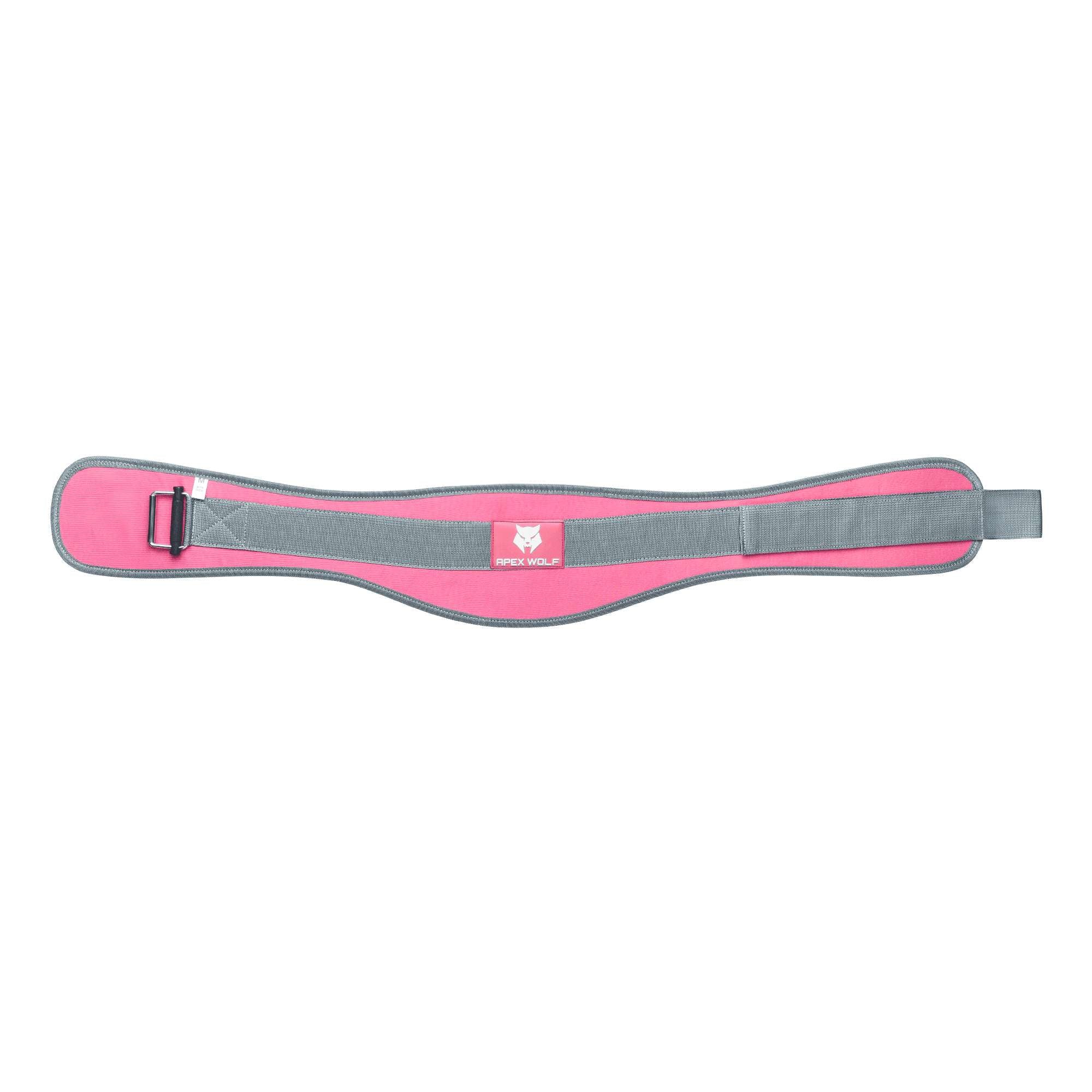 Lifting Belt
